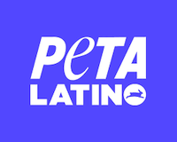 PeTA Latino
